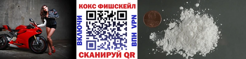 Cocaine FishScale Купить закладки Дагестанские Огни