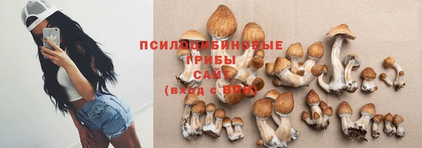 соль ск Кинешма