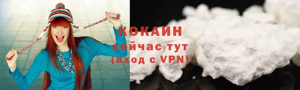 шишки Киренск