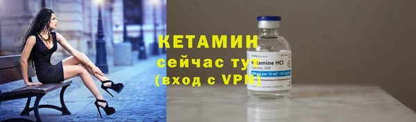 шишки Киренск