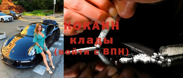 шишки Киренск