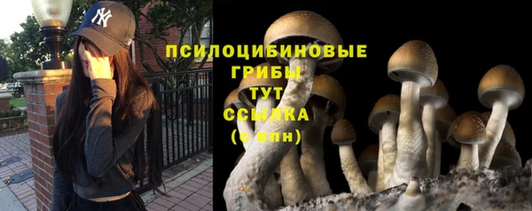 шишки Киренск