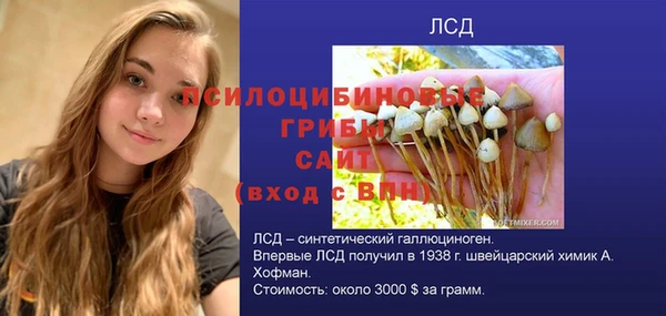 шишки Киренск